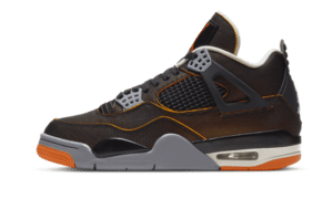 Air Jordan 4 Se Starfish
